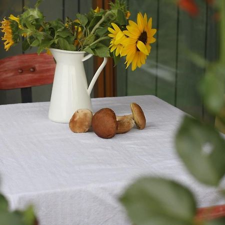 Holiday Home Trnavsko Bogojina 外观 照片