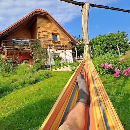 Holiday Home Trnavsko Bogojina 外观 照片