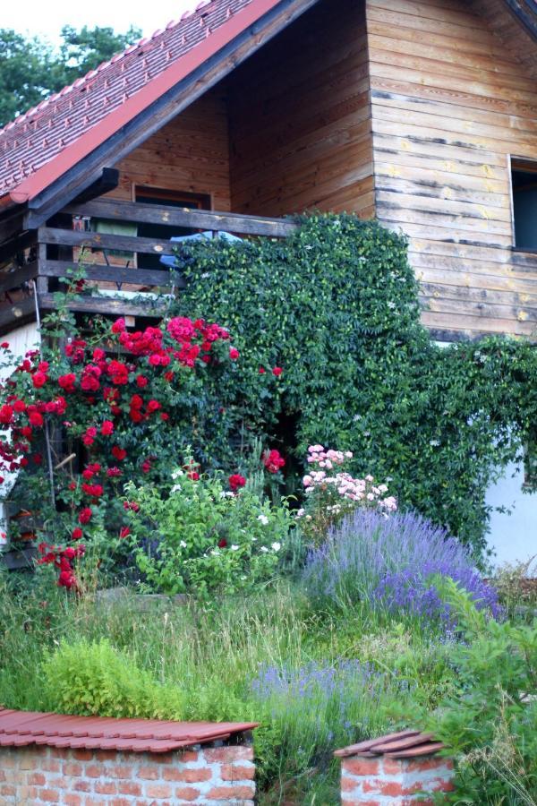 Holiday Home Trnavsko Bogojina 外观 照片