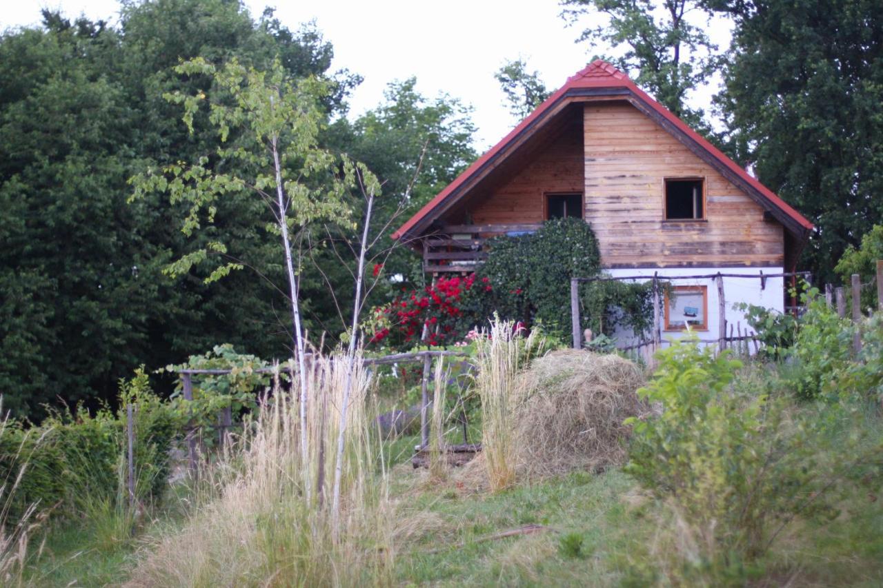 Holiday Home Trnavsko Bogojina 外观 照片