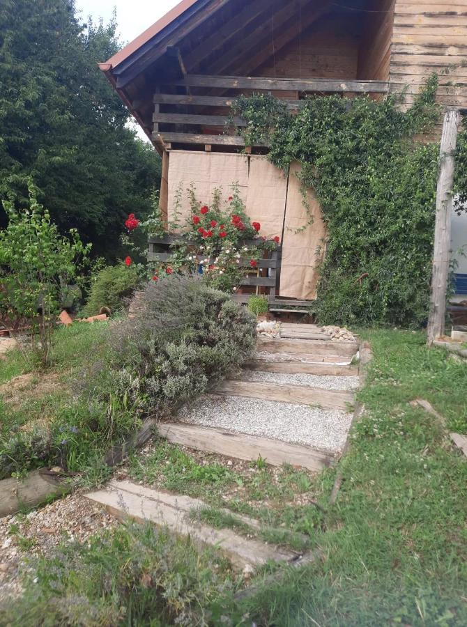 Holiday Home Trnavsko Bogojina 外观 照片