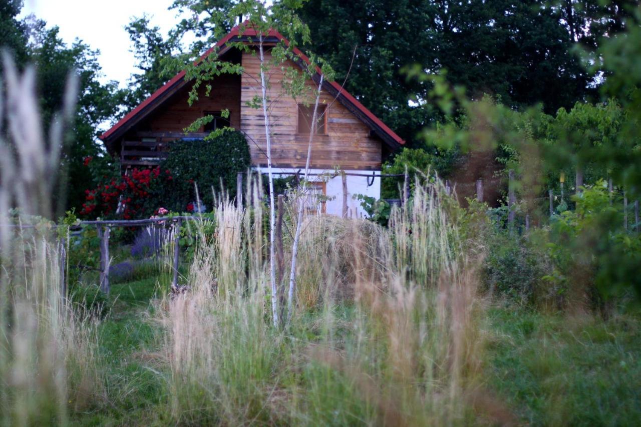 Holiday Home Trnavsko Bogojina 外观 照片