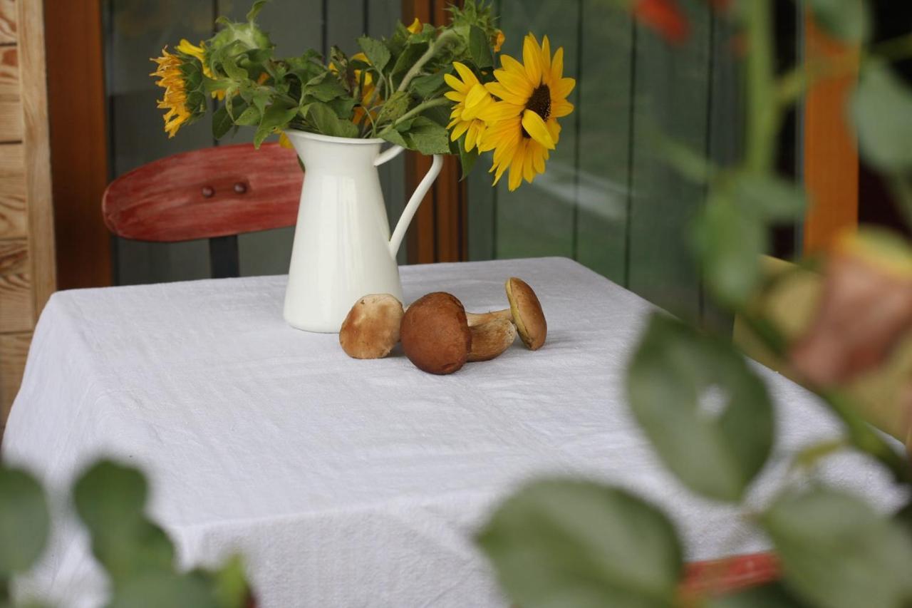 Holiday Home Trnavsko Bogojina 外观 照片